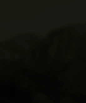 camping-footer-bg